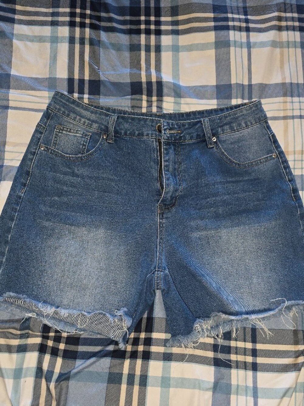 Frayed Hem Denim Shorts